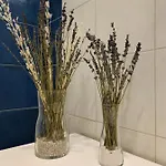 Gibus Oda ve Kahvaltı