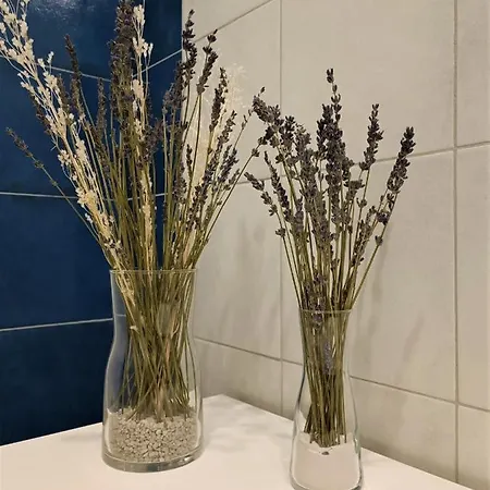 Gibus Bed and breakfast