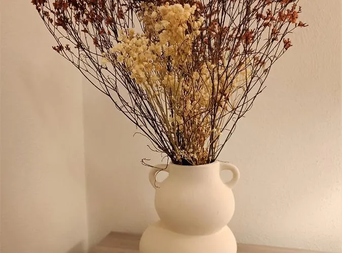 فندق مبيت وإفطار Gibus