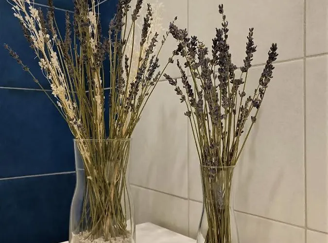 Gibus فندق مبيت وإفطار